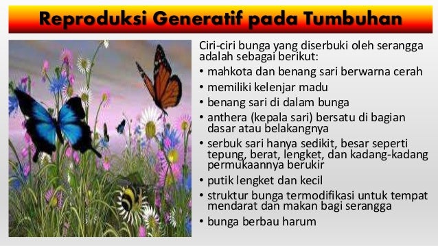 Sistem reproduksi tumbuhan dan hewan Sistem reproduksi tumbuhan dan hewan