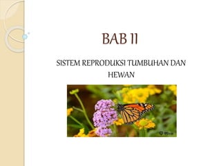 BAB II
SISTEM REPRODUKSI TUMBUHAN DAN
HEWAN
 