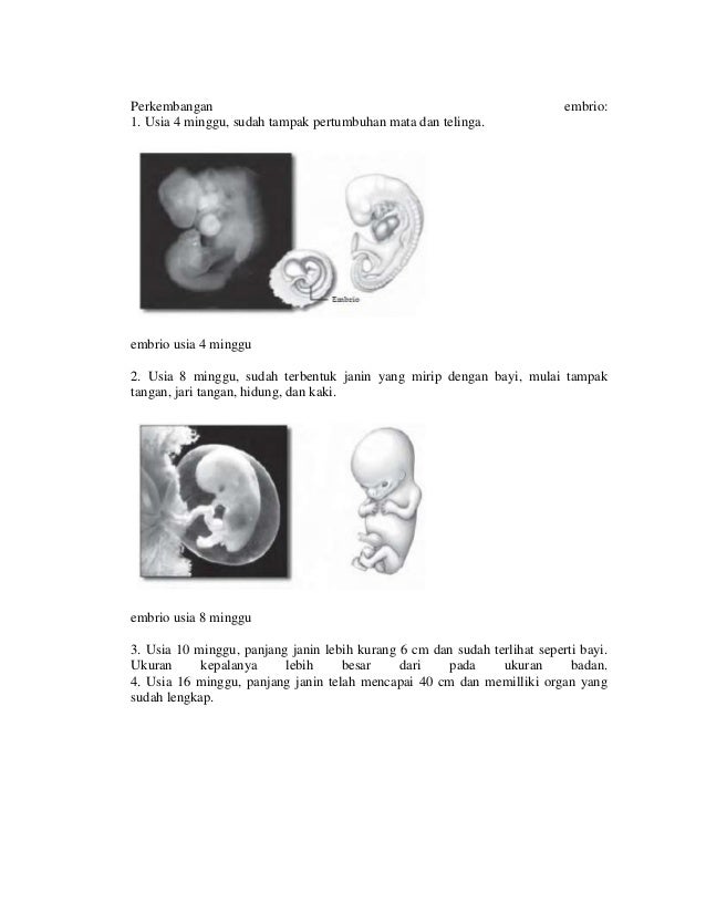 Sistem reproduksi umum (materi)