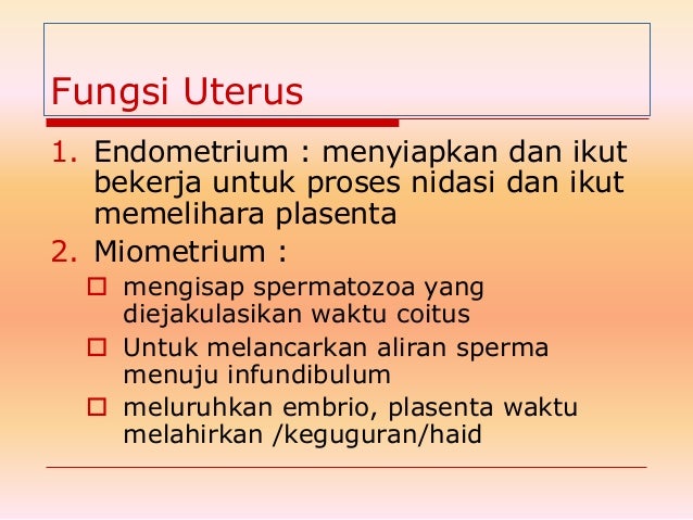 Sistem Reproduksi Wanita 15849864