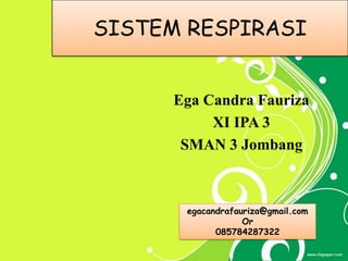 SISTEM RESPIRASI


      Ega Candra Fauriza
           XI IPA 3
       SMAN 3 Jombang



       egacandrafauriza@gmail.com
                   Or
             085784287322
 