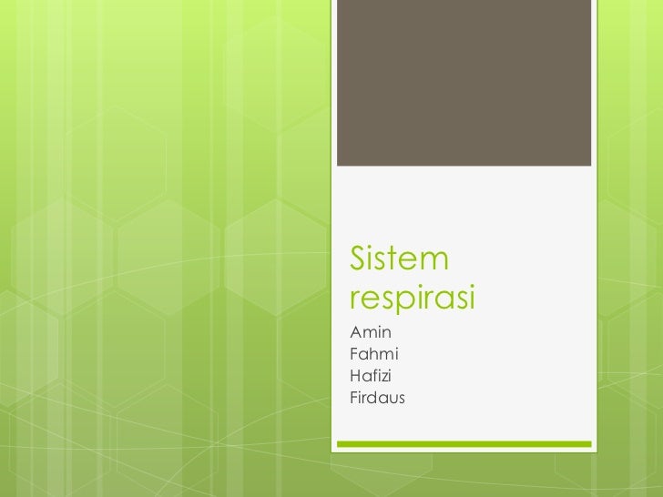 Sistem Respirasi