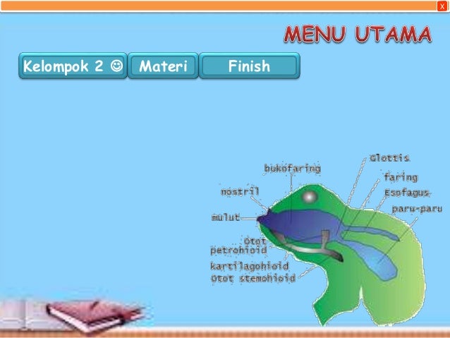 Sistem respirasi pada katak