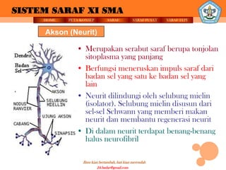 SISTEM SARAF XI SMA
     HOME   PETA KONSEP          SARAF          SARAF PUSAT   SARAF TEPI


     Akson (Neurit)

               • Merupakan serabut saraf berupa tonjolan
                 sitoplasma yang panjang
               • Berfungsi meneruskan impuls saraf dari
                 badan sel yang satu ke badan sel yang
                 lain
               • Neurit dilindungi oleh selubung mielin
                 (isolator). Selubung mielin disusun dari
                 sel-sel Schwann yang memberi makan
                 neurit dan membantu regenerasi neurit
               • Di dalam neurit terdapat benang-benang
                 halus neurofibril

                  Ilmu kian bertambah, hati kian merendah
                           24.badar@gmail.com
 