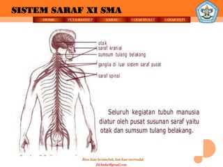 SISTEM SARAF XI SMA
     HOME   PETA KONSEP          SARAF          SARAF PUSAT   SARAF TEPI




                  Ilmu kian bertambah, hati kian merendah
                           24.badar@gmail.com
 