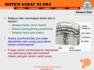 SISTEM SARAF XI SMA
          HOME     PETA KONSEP          SARAF          SARAF PUSAT   SARAF TEPI

                                                                            Selaput Otak

• Selaput otak (meninges) terdiri dari 3
  lapisan:
   – Selaput keras (dura mater)
   – Selaput jaring-jaring (arachnoid)
   – Selaput halus (pia mater)

• Antara arachnoid dan pia mater
  dipisahkan oleh ruang yang berisi
  cairan cerebrospinal.
• Fungsi cairan cerebrospinal: sbg bantal
  cair pelindung otak dan memberi
  makan jaringan sistem saraf pusat.


                         Ilmu kian bertambah, hati kian merendah
                                  24.badar@gmail.com
 