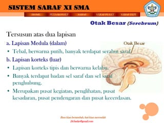 SISTEM SARAF XI SMA
           HOME   PETA KONSEP          SARAF          SARAF PUSAT   SARAF TEPI


                                                 Otak Besar (Serebrum)

Tersusun atas dua lapisan
a. Lapisan Medula (dalam)
• Tebal, berwarna putih, banyak terdapat serabut saraf.
b. Lapisan korteks (luar)
• Lapisan korteks tipis dan berwarna kelabu.
• Banyak terdapat badan sel saraf dan sel saraf
   penghubung.
• Merupakan pusat kegiatan, penglihatan, pusat
   kesadaran, pusat pendengaran dan pusat kecerdasan.


                        Ilmu kian bertambah, hati kian merendah
                                 24.badar@gmail.com
 