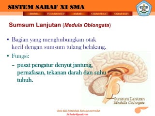 SISTEM SARAF XI SMA
         HOME   PETA KONSEP          SARAF          SARAF PUSAT   SARAF TEPI



 Sumsum Lanjutan (Medula Oblongata)

• Bagian yang menghubungkan otak
  kecil dengan sumsum tulang belakang.
• Fungsi:
  – pusat pengatur denyut jantung,
    pernafasan, tekanan darah dan suhu
    tubuh.



                      Ilmu kian bertambah, hati kian merendah
                               24.badar@gmail.com
 