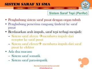 SISTEM SARAF XI SMA
         HOME   PETA KONSEP          SARAF          SARAF PUSAT   SARAF TEPI


                                             Sistem Saraf Tepi (Perifer)

• Penghubung sistem saraf pusat dengan organ tubuh
• Penghubung penerima rangsang (indera) ke saraf
  pusat
• Berdasarkan arah impuls, saraf tepi terbagi menjadi:
  – Sistem saraf aferen membawa impuls dari
    reseptor ke saraf pusat
  – Sistem saraf eferen membawa impuls dari saraf
    pusat ke efektor
• Ada dua macam:
  – Sistem saraf somatik
  – Sistem saraf parasimpatik
                      Ilmu kian bertambah, hati kian merendah
                               24.badar@gmail.com
 