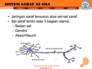 SISTEM SARAF XI SMA
       HOME   PETA KONSEP          SARAF          SARAF PUSAT   SARAF TEPI




 • Jaringan saraf tersusun atas sel-sel saraf.
 • Sel saraf terdiri atas 3 bagian utama:
    - Badan sel
    - Dendrit
    - Akson/Neurit




                    Ilmu kian bertambah, hati kian merendah
                             24.badar@gmail.com
 