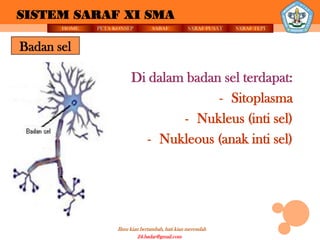 SISTEM SARAF XI SMA
       HOME   PETA KONSEP          SARAF          SARAF PUSAT   SARAF TEPI


Badan sel

                         Di dalam badan sel terdapat:
                                       - Sitoplasma
                                 - Nukleus (inti sel)
                            - Nukleous (anak inti sel)




                    Ilmu kian bertambah, hati kian merendah
                             24.badar@gmail.com
 