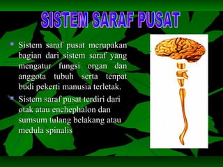  Sistem saraf pusat merupakanSistem saraf pusat merupakan
bagian dari sistem saraf yangbagian dari sistem saraf yang
mengatur fungsi organ danmengatur fungsi organ dan
anggota tubuh serta tenpatanggota tubuh serta tenpat
budi pekerti manusia terletak.budi pekerti manusia terletak.
 Sistem saraf pusat terdiri dariSistem saraf pusat terdiri dari
otak atau enchephalon danotak atau enchephalon dan
sumsum tulang belakang atausumsum tulang belakang atau
medula spinalismedula spinalis
 
