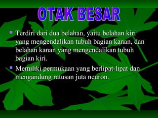  Terdiri dari dua belahan, yaitu belahan kiriTerdiri dari dua belahan, yaitu belahan kiri
yang mengendalikan tubuh bagian kanan, danyang mengendalikan tubuh bagian kanan, dan
belahan kanan yang mengendalikan tubuhbelahan kanan yang mengendalikan tubuh
bagian kiri.bagian kiri.
 Memiliki permukaan yang berlipat-lipat danMemiliki permukaan yang berlipat-lipat dan
mengandung ratusan juta neuron.mengandung ratusan juta neuron.
 
