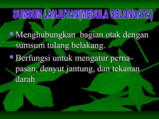  Menghubungkan bagian otak denganMenghubungkan bagian otak dengan
sumsum tulang belakang.sumsum tulang belakang.
 Berfungsi untuk mengatur perna-Berfungsi untuk mengatur perna-
pasan, denyut jantung, dan tekananpasan, denyut jantung, dan tekanan
darahdarah
 