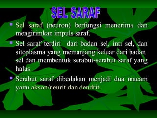  Sel sarafSel saraf (neuron) berfungsi menerima dan(neuron) berfungsi menerima dan
mengirimkan impuls saraf.mengirimkan impuls saraf.
 Sel saraf terdiri dari badan sel, inti sel, danSel saraf terdiri dari badan sel, inti sel, dan
sitoplasma yang memanjang keluar dari badansitoplasma yang memanjang keluar dari badan
sel dan membentuk serabut-serabut saraf yangsel dan membentuk serabut-serabut saraf yang
halushalus
 Serabut saraf dibedakan menjadi dua macamSerabut saraf dibedakan menjadi dua macam
yaituyaitu akson/neurit dan dendrit.akson/neurit dan dendrit.
 