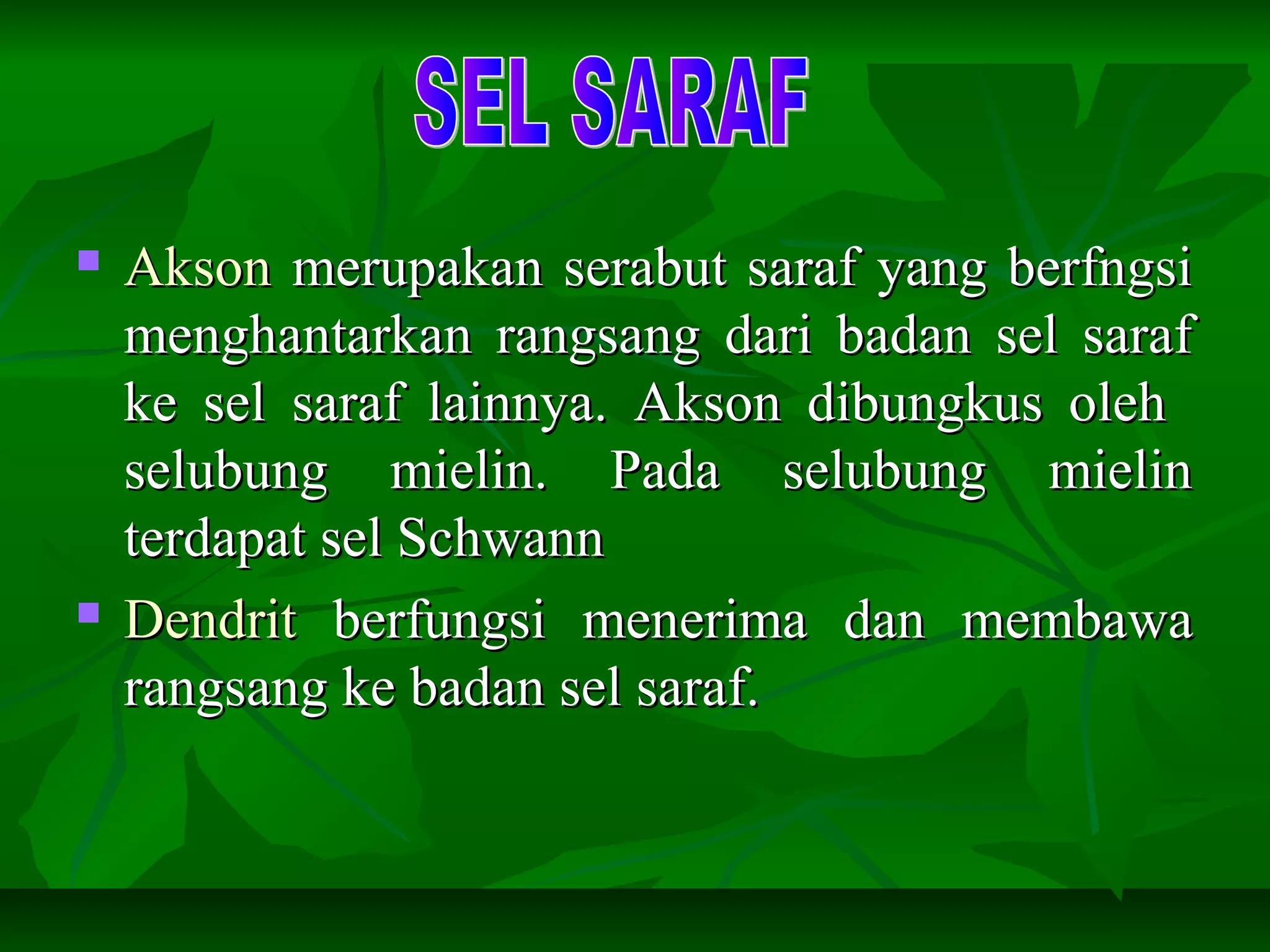  AksonAkson merupakan serabut saraf yang berfngsimerupakan serabut saraf yang berfngsi
menghantarkan rangsang dari badan sel sarafmenghantarkan rangsang dari badan sel saraf
ke sel saraf lainnya. Akson dibungkus olehke sel saraf lainnya. Akson dibungkus oleh
selubung mielin. Pada selubung mielinselubung mielin. Pada selubung mielin
terdapat sel Schwannterdapat sel Schwann
 DendritDendrit berfungsi menerima dan membawaberfungsi menerima dan membawa
rangsang ke badan sel saraf.rangsang ke badan sel saraf.
 