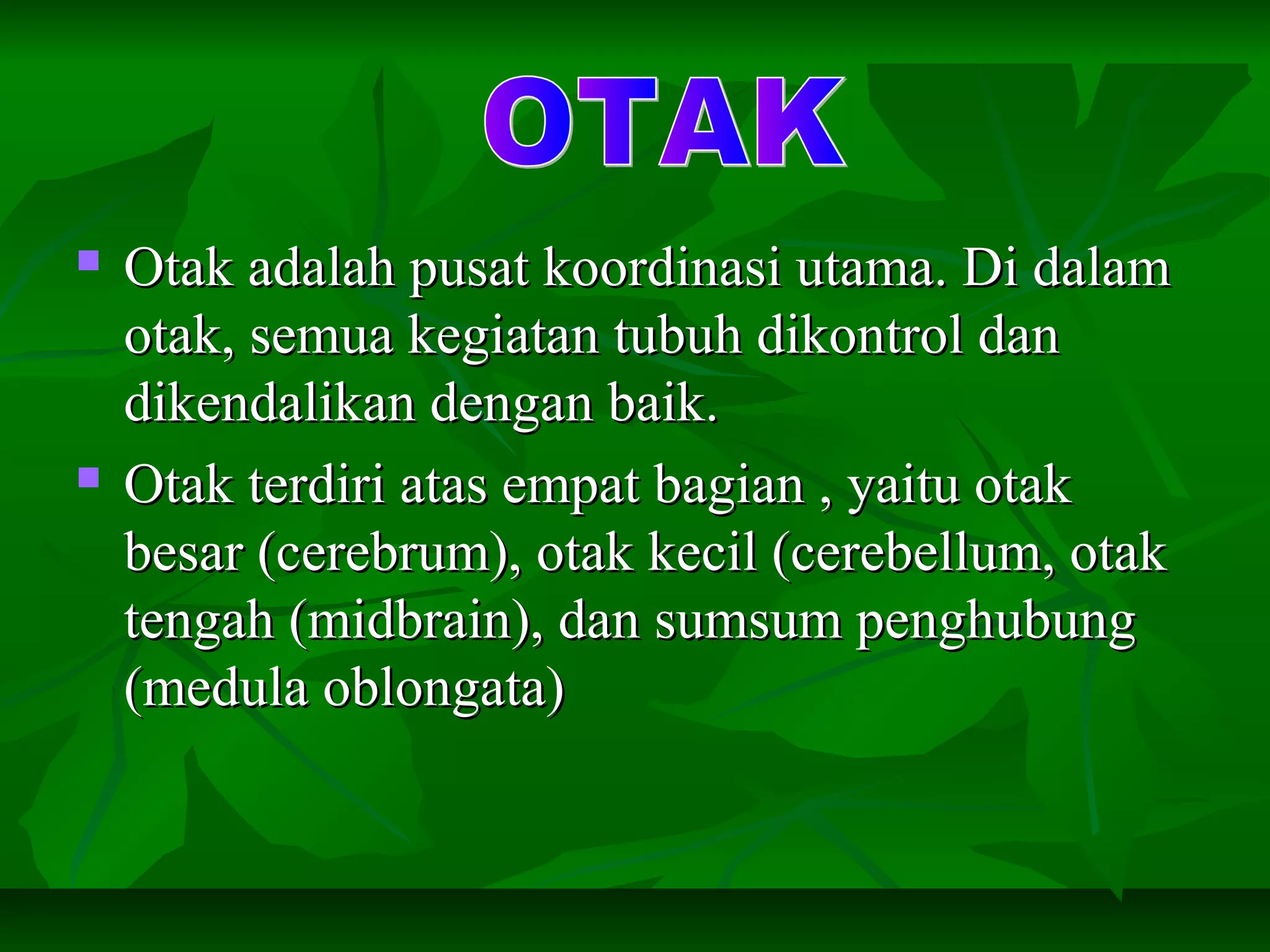  Otak adalah pusat koordinasi utama. Di dalamOtak adalah pusat koordinasi utama. Di dalam
otak, semua kegiatan tubuh dikontrol danotak, semua kegiatan tubuh dikontrol dan
dikendalikan dengan baik.dikendalikan dengan baik.
 Otak terdiri atas empat bagian , yaitu otakOtak terdiri atas empat bagian , yaitu otak
besar (cerebrum), otak kecil (cerebellum, otakbesar (cerebrum), otak kecil (cerebellum, otak
tengah (midbrain), dan sumsum penghubungtengah (midbrain), dan sumsum penghubung
(medula oblongata)(medula oblongata)
 