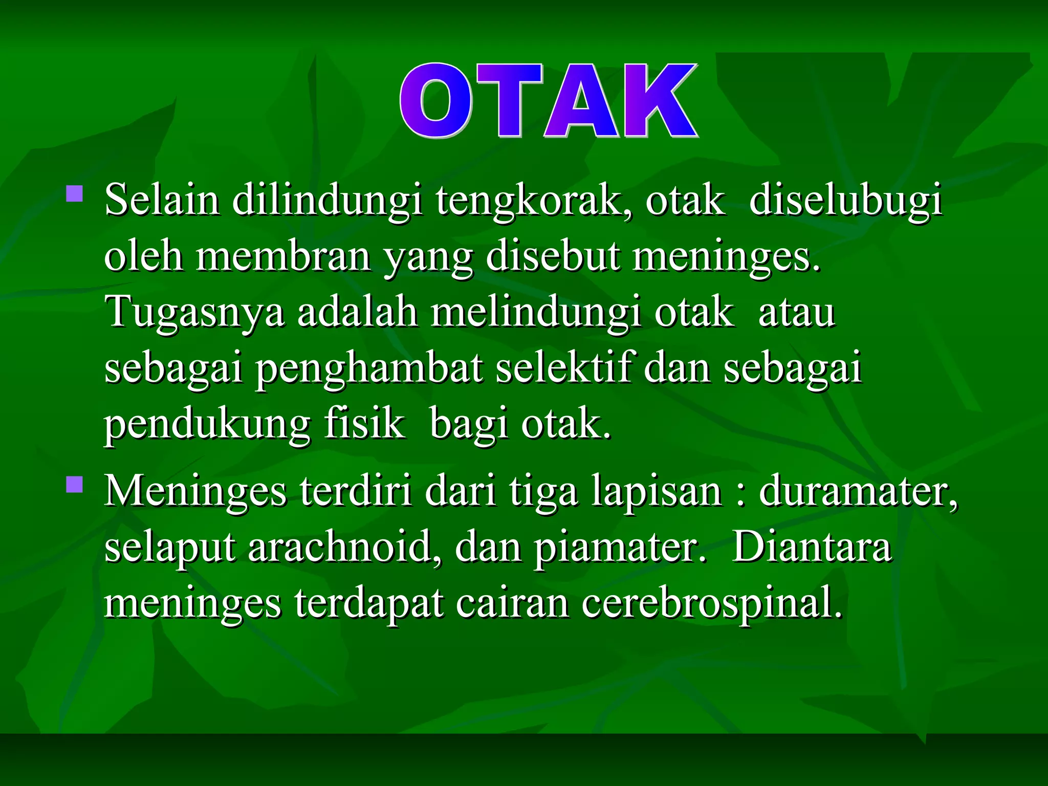  Selain dilindungi tengkorak, otak diselubugiSelain dilindungi tengkorak, otak diselubugi
oleh membran yang disebut meninges.oleh membran yang disebut meninges.
Tugasnya adalah melindungi otak atauTugasnya adalah melindungi otak atau
sebagai penghambat selektif dan sebagaisebagai penghambat selektif dan sebagai
pendukung fisik bagi otak.pendukung fisik bagi otak.
 Meninges terdiri dari tiga lapisan : duramater,Meninges terdiri dari tiga lapisan : duramater,
selaput arachnoid, dan piamater. Diantaraselaput arachnoid, dan piamater. Diantara
meninges terdapat cairan cerebrospinal.meninges terdapat cairan cerebrospinal.
 