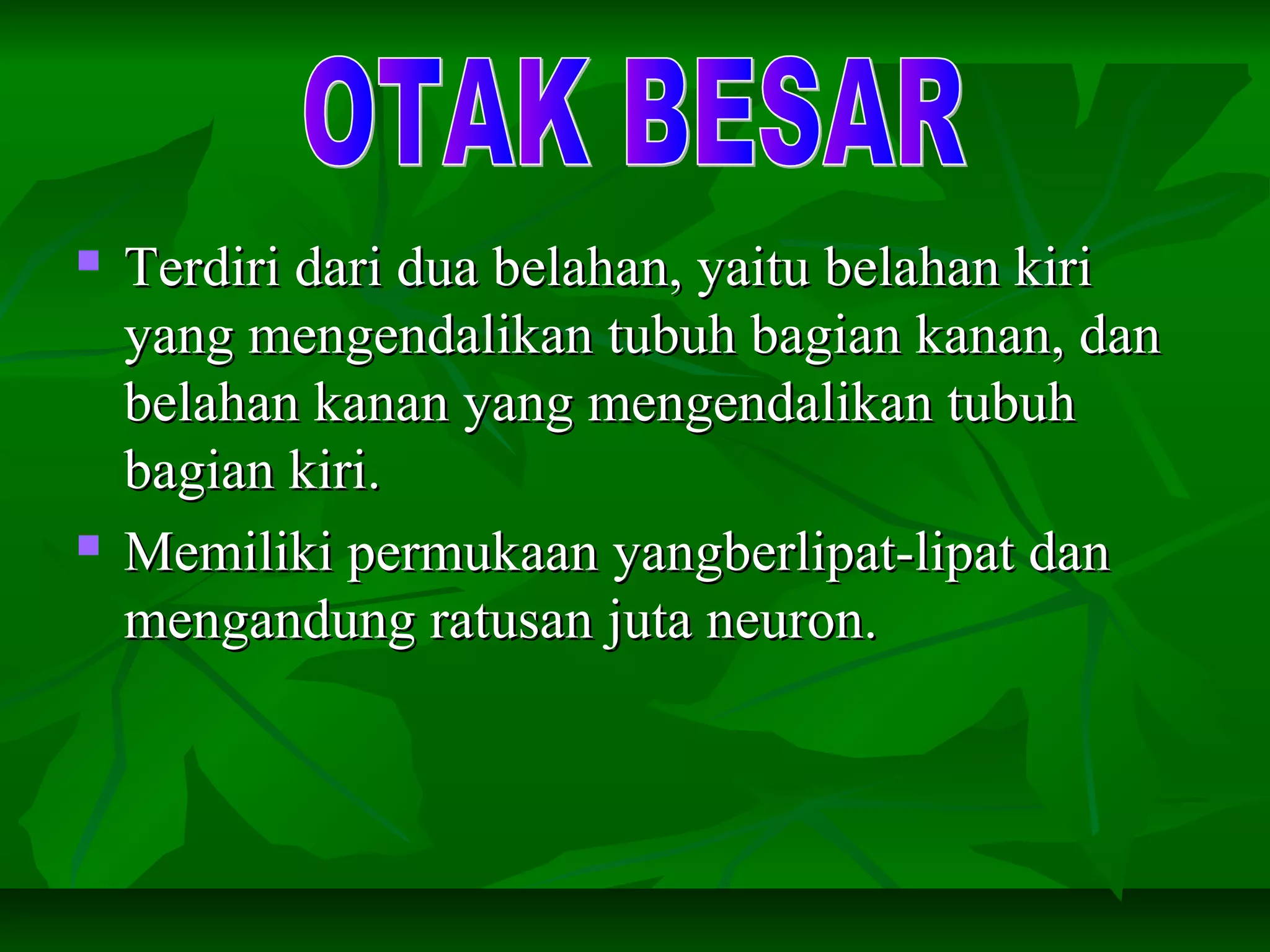  Terdiri dari dua belahan, yaitu belahan kiriTerdiri dari dua belahan, yaitu belahan kiri
yang mengendalikan tubuh bagian kanan, danyang mengendalikan tubuh bagian kanan, dan
belahan kanan yang mengendalikan tubuhbelahan kanan yang mengendalikan tubuh
bagian kiri.bagian kiri.
 Memiliki permukaan yangberlipat-lipat danMemiliki permukaan yangberlipat-lipat dan
mengandung ratusan juta neuron.mengandung ratusan juta neuron.
 