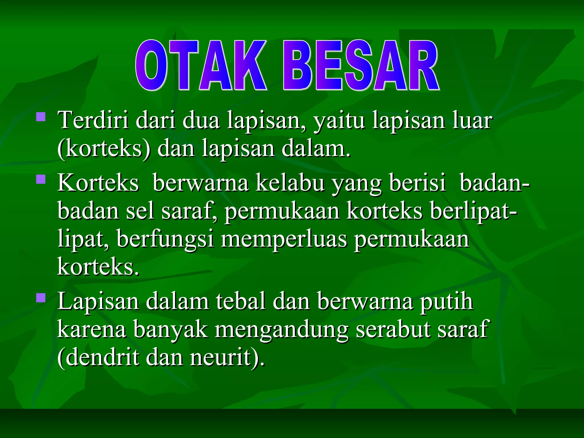 Terdiri dari dua lapisan, yaitu lapisan luarTerdiri dari dua lapisan, yaitu lapisan luar
(korteks) dan lapisan dalam.(korteks) dan lapisan dalam.
 Korteks berwarna kelabu yang berisi badan-Korteks berwarna kelabu yang berisi badan-
badan sel saraf, permukaan korteks berlipat-badan sel saraf, permukaan korteks berlipat-
lipat, berfungsi memperluas permukaanlipat, berfungsi memperluas permukaan
korteks.korteks.
 Lapisan dalam tebal dan berwarna putihLapisan dalam tebal dan berwarna putih
karena banyak mengandung serabut sarafkarena banyak mengandung serabut saraf
(dendrit dan neurit).(dendrit dan neurit).
 