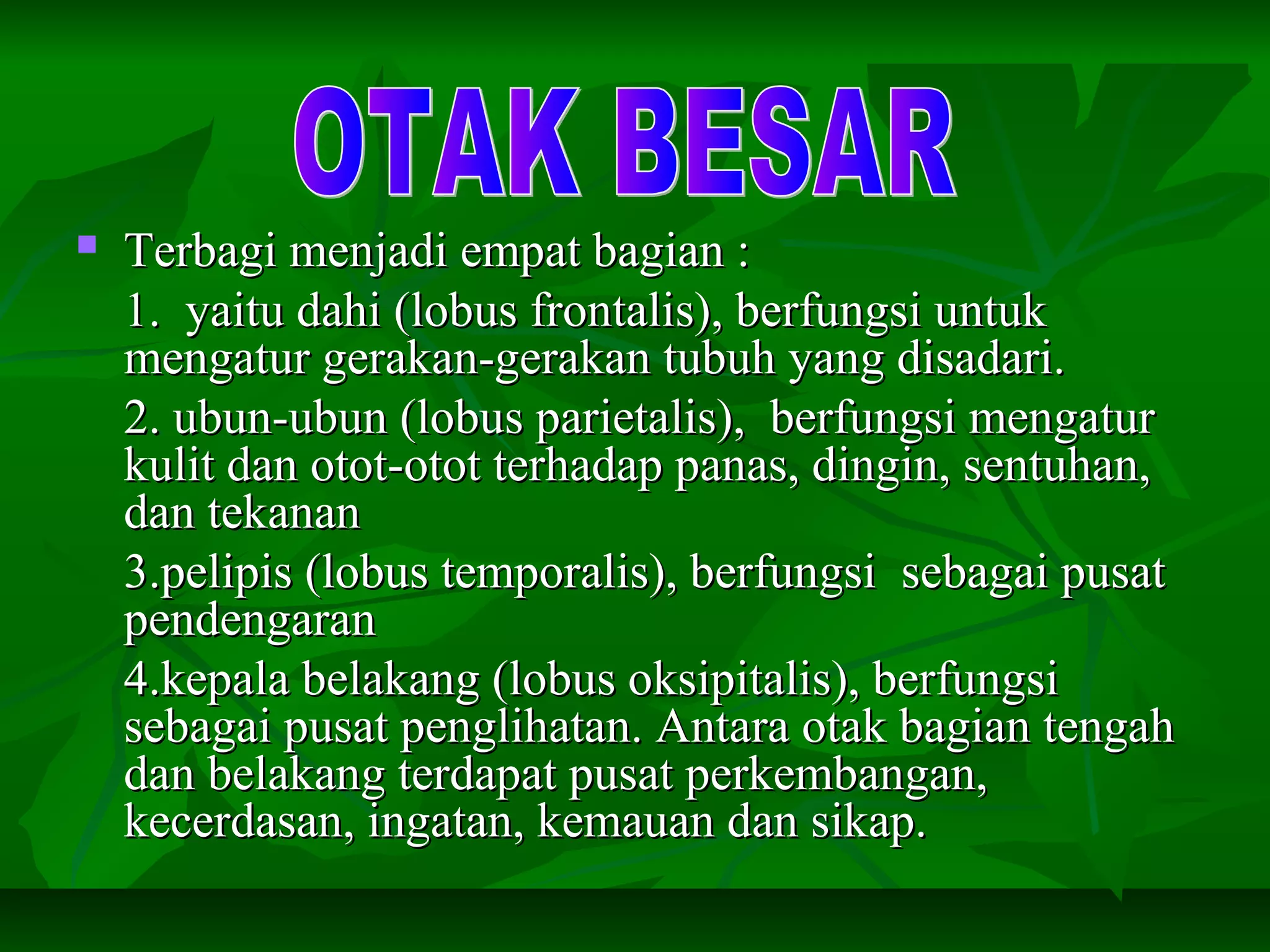  Terbagi menjadi empat bagian :Terbagi menjadi empat bagian :
1. yaitu dahi (lobus frontalis), berfungsi untuk1. yaitu dahi (lobus frontalis), berfungsi untuk
mengatur gerakan-gerakan tubuh yang disadari.mengatur gerakan-gerakan tubuh yang disadari.
2. ubun-ubun (lobus parietalis), berfungsi mengatur2. ubun-ubun (lobus parietalis), berfungsi mengatur
kulit dan otot-otot terhadap panas, dingin, sentuhan,kulit dan otot-otot terhadap panas, dingin, sentuhan,
dan tekanandan tekanan
3.pelipis (lobus temporalis), berfungsi sebagai pusat3.pelipis (lobus temporalis), berfungsi sebagai pusat
pendengaranpendengaran
4.kepala belakang (lobus oksipitalis), berfungsi4.kepala belakang (lobus oksipitalis), berfungsi
sebagai pusat penglihatan. Antara otak bagian tengahsebagai pusat penglihatan. Antara otak bagian tengah
dan belakang terdapat pusat perkembangan,dan belakang terdapat pusat perkembangan,
kecerdasan, ingatan, kemauan dan sikap.kecerdasan, ingatan, kemauan dan sikap.
 