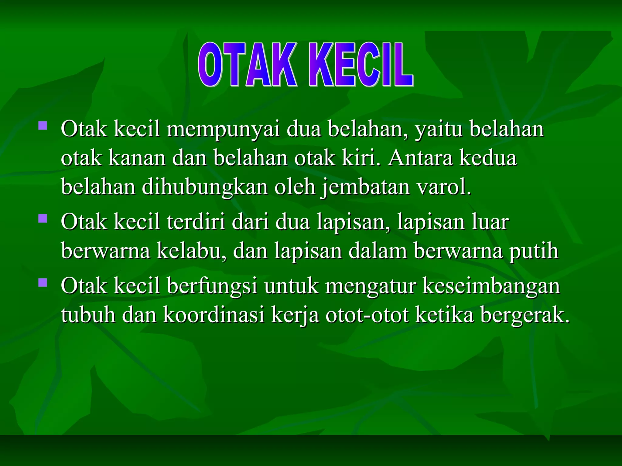  Otak kecil mempunyai dua belahan, yaitu belahanOtak kecil mempunyai dua belahan, yaitu belahan
otak kanan dan belahan otak kiri. Antara keduaotak kanan dan belahan otak kiri. Antara kedua
belahan dihubungkan oleh jembatan varol.belahan dihubungkan oleh jembatan varol.
 Otak kecil terdiri dari dua lapisan, lapisan luarOtak kecil terdiri dari dua lapisan, lapisan luar
berwarna kelabu, dan lapisan dalam berwarna putihberwarna kelabu, dan lapisan dalam berwarna putih
 Otak kecil berfungsi untuk mengatur keseimbanganOtak kecil berfungsi untuk mengatur keseimbangan
tubuh dan koordinasi kerja otot-otot ketika bergerak.tubuh dan koordinasi kerja otot-otot ketika bergerak.
 