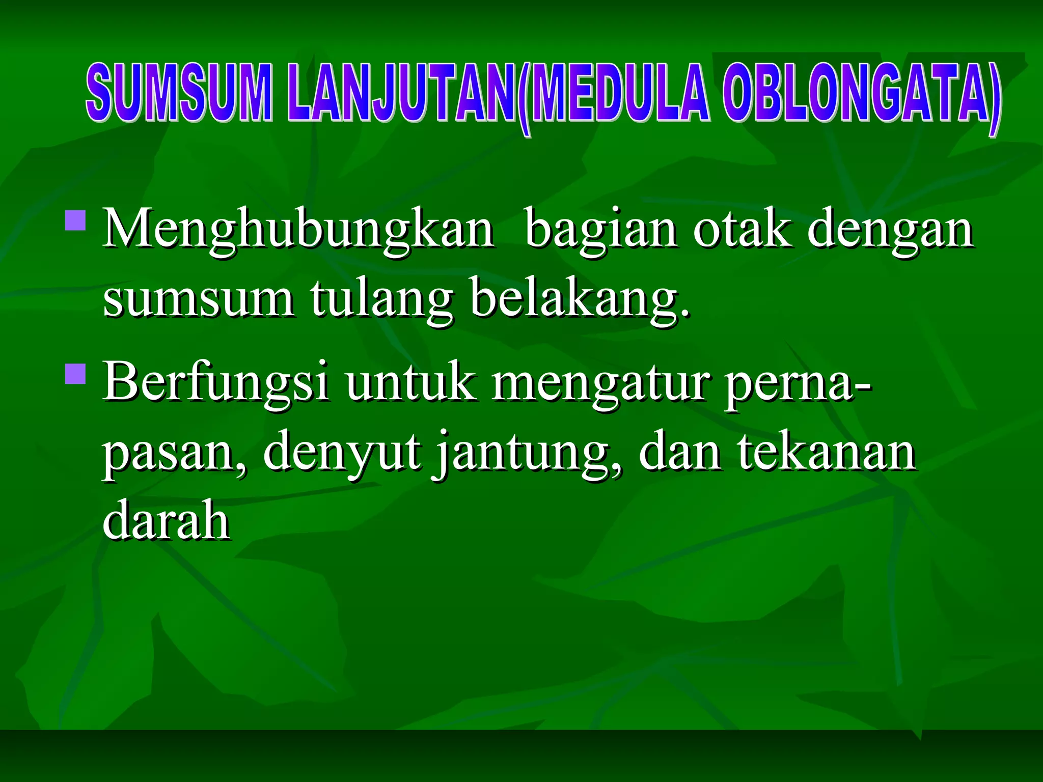  Menghubungkan bagian otak denganMenghubungkan bagian otak dengan
sumsum tulang belakang.sumsum tulang belakang.
 Berfungsi untuk mengatur perna-Berfungsi untuk mengatur perna-
pasan, denyut jantung, dan tekananpasan, denyut jantung, dan tekanan
darahdarah
 