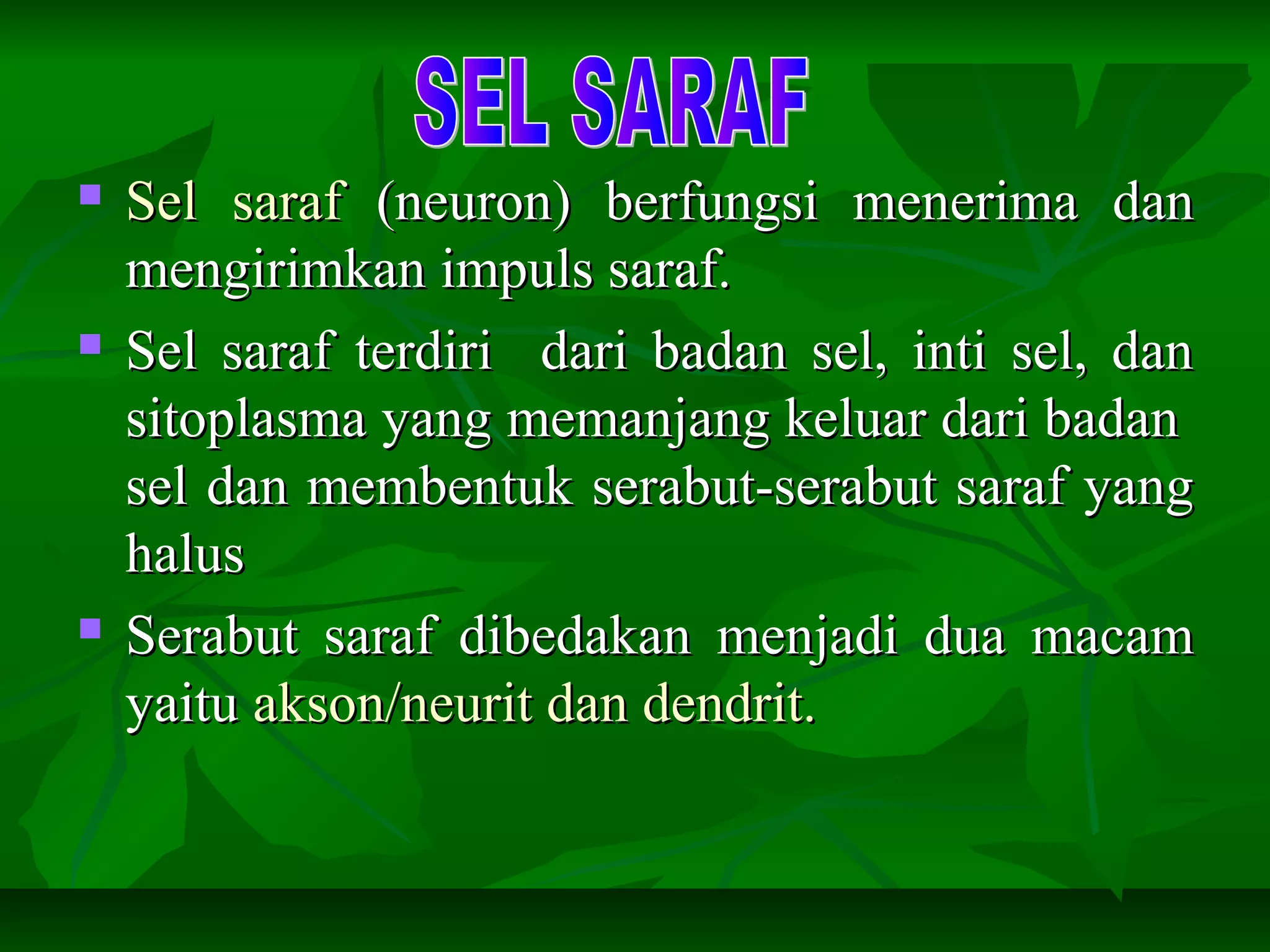  Sel sarafSel saraf (neuron) berfungsi menerima dan(neuron) berfungsi menerima dan
mengirimkan impuls saraf.mengirimkan impuls saraf.
 Sel saraf terdiri dari badan sel, inti sel, danSel saraf terdiri dari badan sel, inti sel, dan
sitoplasma yang memanjang keluar dari badansitoplasma yang memanjang keluar dari badan
sel dan membentuk serabut-serabut saraf yangsel dan membentuk serabut-serabut saraf yang
halushalus
 Serabut saraf dibedakan menjadi dua macamSerabut saraf dibedakan menjadi dua macam
yaituyaitu akson/neurit dan dendrit.akson/neurit dan dendrit.
 