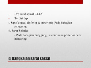 d. Rangkaian saraf sakral
- Drp saraf spinal L4-L5
- Terdiri drp:
i. Saraf gluteal (inferior & superior): Pada bahagian
punggung
ii. Saraf Sciatic:
- Pada bahagian punggung , menurun ke posterior peha
hamstring
 