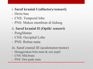 i. Saraf kranial I (olfactory/sensori)
- Deria bau
- CNS: Temporal lobe
- PNS: Mukus membran di hidung
ii. Saraf kranial II (Optik/ sensori)
- Penglihatan
- CNS: Occipital Lobe
- PNS: Retina mata
iii. Saraf cranial III (aculomotor/motor)
- Menggerakan bola mata & saiz pupil
- CNS: Mid brain
- PNS: Otot pada mata
 