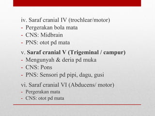 iv. Saraf cranial IV (trochlear/motor)
- Pergerakan bola mata
- CNS: Midbrain
- PNS: otot pd mata
v. Saraf cranial V (Trigeminal / campur)
- Mengunyah & deria pd muka
- CNS: Pons
- PNS: Sensori pd pipi, dagu, gusi
vi. Saraf cranial VI (Abducens/ motor)
- Pergerakan mata
- CNS: otot pd mata
 