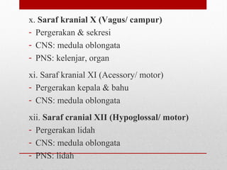 x. Saraf kranial X (Vagus/ campur)
- Pergerakan & sekresi
- CNS: medula oblongata
- PNS: kelenjar, organ
xi. Saraf kranial XI (Acessory/ motor)
- Pergerakan kepala & bahu
- CNS: medula oblongata
xii. Saraf cranial XII (Hypoglossal/ motor)
- Pergerakan lidah
- CNS: medula oblongata
- PNS: lidah
 