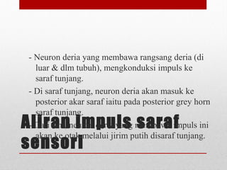 Aliran impuls saraf
sensori
- Neuron deria yang membawa rangsang deria (di
luar & dlm tubuh), mengkonduksi impuls ke
saraf tunjang.
- Di saraf tunjang, neuron deria akan masuk ke
posterior akar saraf iaitu pada posterior grey horn
saraf tunjang.
- Dari sini, neuron deria yang membawa impuls ini
akan ke otak melalui jirim putih disaraf tunjang.
 