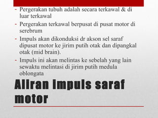 Aliran impuls saraf
motor
- Pergerakan tubuh adalah secara terkawal & di
luar terkawal
- Pergerakan terkawal berpusat di pusat motor di
serebrum
- Impuls akan dikonduksi dr akson sel saraf
dipusat motor ke jirim putih otak dan dipangkal
otak (mid brain).
- Impuls ini akan melintas ke sebelah yang lain
sewaktu melintasi di jirim putih medula
oblongata
 