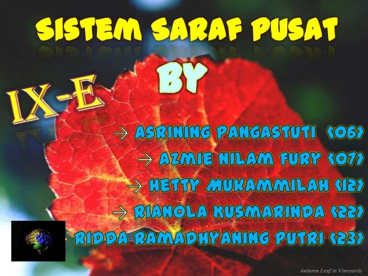 Sistem saraf pusat