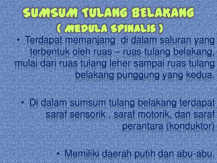 Sistem saraf pusat
