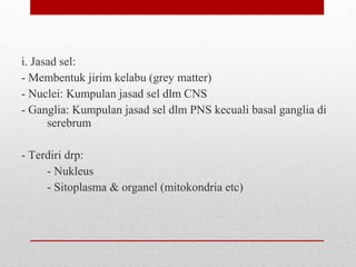 i. Jasad sel:
- Membentuk jirim kelabu (grey matter)
- Nuclei: Kumpulan jasad sel dlm CNS
- Ganglia: Kumpulan jasad sel dlm PNS kecuali basal ganglia di
serebrum
- Terdiri drp:
- Nukleus
- Sitoplasma & organel (mitokondria etc)
 