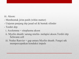 iii. Akson:
- Membentuk jirim putih (white matter)
- Unjuran panjang drp jasad sel & bentuk silinder
- Terdiri drp:
i. Axolemma = sitoplasma akson
ii. Myelin sheath/ sarung mielin- melapisi akson.Terdiri drp
Schwann cell
iii. Nodus Ranvier = gap antara Myelin sheath. Fungsi utk
mempercepatkan konduksi impuls
 