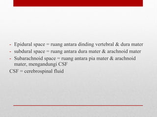 - Epidural space = ruang antara dinding vertebral & dura mater
- subdural space = ruang antara dura mater & arachnoid mater
- Subarachnoid space = ruang antara pia mater & arachnoid
mater, mengandungi CSF
CSF = cerebrospinal fluid
 