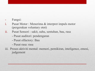 - Fungsi:
i. Pusat Motor : Menerima & interpret impuls motor
(pergerakan voluntary otot)
ii. Pusat Sensori : sakit, suhu, sentuhan, bau, rasa
- Pusat auditori: pendengaran
- Pusat olfactory: Bau
- Pusat rasa: rasa
iii. Proses aktiviti mental: memori, pemikiran, inteligence, emosi,
judgement
 