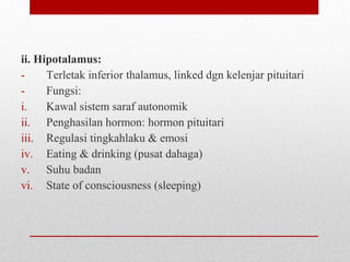 ii. Hipotalamus:
- Terletak inferior thalamus, linked dgn kelenjar pituitari
- Fungsi:
i. Kawal sistem saraf autonomik
ii. Penghasilan hormon: hormon pituitari
iii. Regulasi tingkahlaku & emosi
iv. Eating & drinking (pusat dahaga)
v. Suhu badan
vi. State of consciousness (sleeping)
 