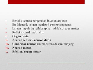 - Berlaku semasa pergerakan involuntary otot
- Eg. Menarik tangan menjauhi permukaan panas
- Laluan impuls bg refleks spinal adalah di grey matter
- Refleks spinal terdiri drp:
i. Organ deria
ii. Neuron sensori/ neuron deria
iii. Connector neuron (interneuron) di saraf tunjang
iv. Neuron motor
v. Efektor/ organ motor
 