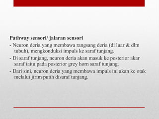 Pathway sensori/ jalaran sensori
- Neuron deria yang membawa rangsang deria (di luar & dlm
tubuh), mengkonduksi impuls ke saraf tunjang.
- Di saraf tunjang, neuron deria akan masuk ke posterior akar
saraf iaitu pada posterior grey horn saraf tunjang.
- Dari sini, neuron deria yang membawa impuls ini akan ke otak
melalui jirim putih disaraf tunjang.
 