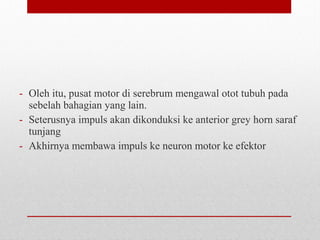 - Oleh itu, pusat motor di serebrum mengawal otot tubuh pada
sebelah bahagian yang lain.
- Seterusnya impuls akan dikonduksi ke anterior grey horn saraf
tunjang
- Akhirnya membawa impuls ke neuron motor ke efektor
 