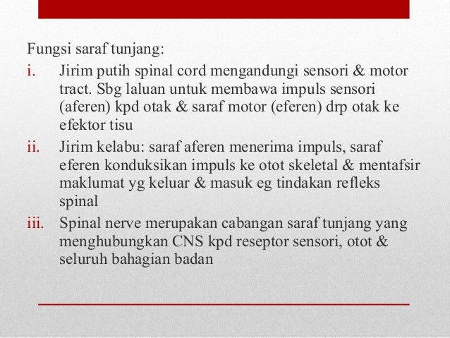 SISTEM SARAF PUSAT