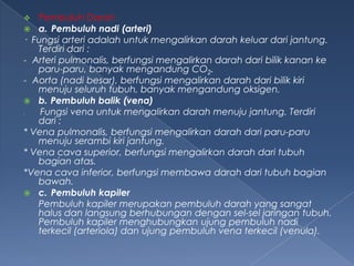 Pembuluh Darah
 a. Pembuluh nadi (arteri)
· Fungsi arteri adalah untuk mengalirkan darah keluar dari jantung.
Terdiri dari :
- Arteri pulmonalis, berfungsi mengalirkan darah dari bilik kanan ke
paru-paru, banyak mengandung CO2.
- Aorta (nadi besar), berfungsi mengalirkan darah dari bilik kiri
menuju seluruh tubuh, banyak mengandung oksigen.
 b. Pembuluh balik (vena)
Fungsi vena untuk mengalirkan darah menuju jantung. Terdiri
dari :
* Vena pulmonalis, berfungsi mengalirkan darah dari paru-paru
menuju serambi kiri jantung.
* Vena cava superior, berfungsi mengalirkan darah dari tubuh
bagian atas.
*Vena cava inferior, berfungsi membawa darah dari tubuh bagian
bawah.
 c. Pembuluh kapiler
Pembuluh kapiler merupakan pembuluh darah yang sangat
halus dan langsung berhubungan dengan sel-sel jaringan tubuh.
Pembuluh kapiler menghubungkan ujung pembuluh nadi
terkecil (arteriola) dan ujung pembuluh vena terkecil (venula).




 
