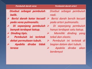 Pembuluh darah vena

Disebut sebagai pembuluh
balik.
 Berisi darah kotor kecuali
pada vena pulmonalis.
 Di sepanjang pembuluh
banyak terdapat katup.
 Dinding tipis.

Pembuluh ini terletak
dekat permukaan tubuh.

Apabila diraba tidak
terasa.


Pembuluh darah arteri

Disebut sebagai pembuluh
nadi.
 Berisi darah bersih kecuali
pada arteri pulmonalis.
 Di sepanjang pembuluh
hanya terdapat satu katup.

Memiliki dinding yang
tebal dan elastic.
 Pembuluh ini terletak di
bagian dalam dari tubuh.

Apabila diraba akan
berdenyut.


 