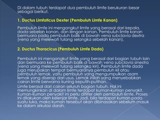 Di dalam tubuh terdapat dua pembuluh limfe berukuran besar
sebagai berikut.
1. Ductus Limfaticus Dexter (Pembuluh Limfe Kanan)
Pembuluh limfe ini mengangkut limfe yang berasal dari kepala,
dada sebelah kanan, dan lengan kanan. Pembuluh limfe kanan
bermuara pada pembuluh balik di bawah vena subclavia dextra
(vena yang melewati tulang selangka sebelah kanan).
2. Ductus Thoracicus (Pembuluh Limfe Dada)
Pembuluh ini mengangkut limfe yang berasal dari bagian tubuh lain
dan bermuara ke pembuluh balik di bawah vena subclavia sinestra
(vena yang melewati tulang selangka kiri). Pembuluh limfe dada
juga merupakan tempat bermuaranya pembuluh kil atau
pembuluh lemak, yaitu pembuluh yang mengumpulkan asam
lemak yang diserap dari usus. Lemak inilah yang menyebabkan
cairan limfe berwarna kuning keputih-putihan.
Limfe berasal dari cairan seluruh bagian tubuh. Hal ini
memungkinkan di dalam limfe terdapat kuman-kuman penyakit.
Kuman-kuman penyakit ini perlu difilter oleh pembuluh limfe. Proses
ini dilakukan oleh kelenjar limfe. Jadi, bila terdapat kuman pada
suatu luka, maka kuman tersebut akan dibinasakan sebelum masuk
ke dalam sirkulasi darah.

 