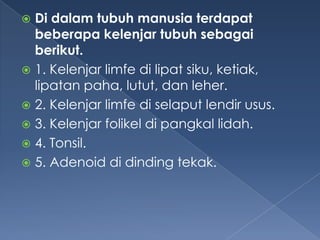 Di dalam tubuh manusia terdapat
beberapa kelenjar tubuh sebagai
berikut.
 1. Kelenjar limfe di lipat siku, ketiak,
lipatan paha, lutut, dan leher.
 2. Kelenjar limfe di selaput lendir usus.
 3. Kelenjar folikel di pangkal lidah.
 4. Tonsil.
 5. Adenoid di dinding tekak.


 
