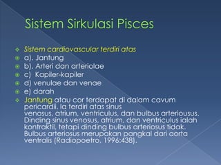 







Sistem cardiovascular terdiri atas
a). Jantung
b). Arteri dan arteriolae
c) Kapiler-kapiler
d) venulae dan venae
e) darah
Jantung atau cor terdapat di dalam cavum
pericardii. Ia terdiri atas sinus
venosus, atrium, ventriculus, dan bulbus arteriousus.
Dinding sinus venosus, atrium, dan ventriculus ialah
kontraktil, tetapi dinding bulbus arteriosus tidak.
Bulbus arteriosus merupakan pangkal dari aorta
ventralis (Radiopoetro, 1996:438).

 
